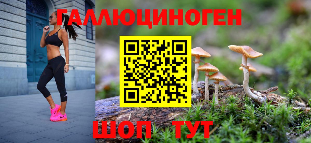 Ульяновск  Галлюциногенные грибы Magic Shrooms  Псилоцибиновые грибы Cubensis  Вход с VPN 