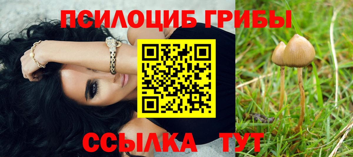 Псилоцибиновые грибы Magic Shrooms Ульяновск